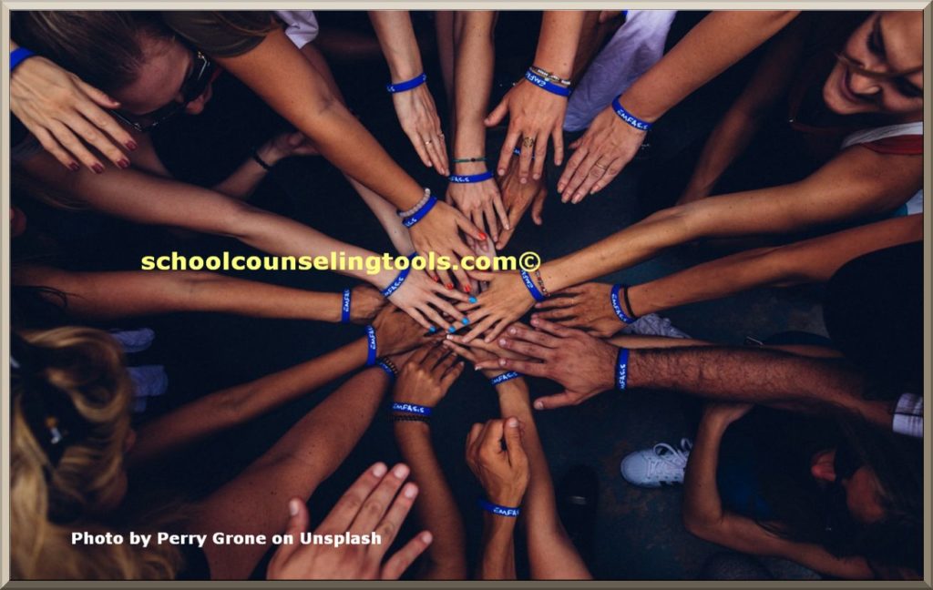 "support system" | schoolcounselingtools"